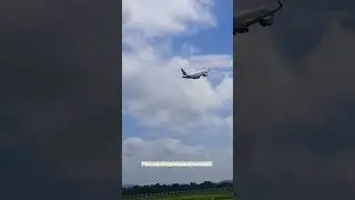 Tata Vistara Takeoff 🥰  #aviation #shorts #trending #airlines #airbus #tata