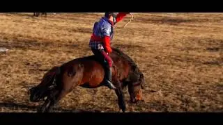 МУГЖ Г.Батбаяр 