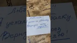 Сколько стоит пойти на рыбалку