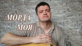 Владимир Тэн МОРДА МОЯ ( весёлый кавер и разбор)
