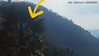 催婚的真相到底是什么？從心理學到社會學，催婚真的會害了我們嗎？ #漫畫 #電影解說 #愛情 #戀愛 #動漫