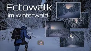 Waldfotografie - Fotowalk im Winterwald