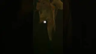 скелет в шкафу