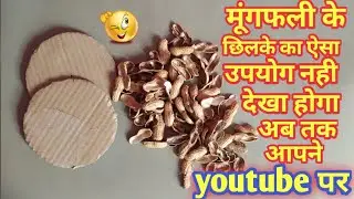मूंगफली के छिलके को फेकेंगे नही आप ये वीडियो देखने के बाद बनाये बेहतरीन क्राफ्ट | Best Out Of Waste