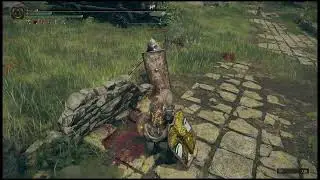 Royal Remains heal tank proof of concept