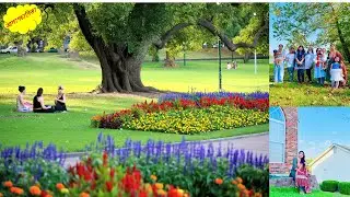 Relaxing Lakeside Picnic || Spring Day Ambience || Amazing Colors of Spring