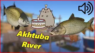 Birthday Competition | Buffalo & Wild Carp spot Akhtuba River  | Russian Fishing