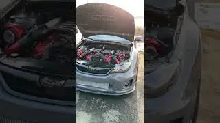 “subarus” 😍