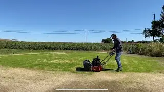 Mowing Bent-grass 21 days after seeding