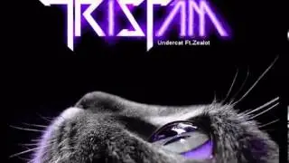 [Drumstep] Tristam feat. Zealot - Undercat (Hour long edition)