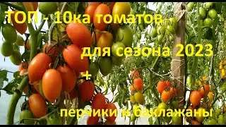 ТОП-10 томатов для сезона 2023 + двадцатка (рекомендуемых) растений на следующий сезон