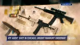 ALMIGHTY SAINTS GANG SHOOT FED AGENT IN CHICAGO