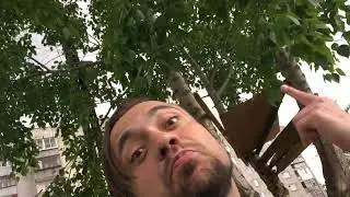 Не достроили