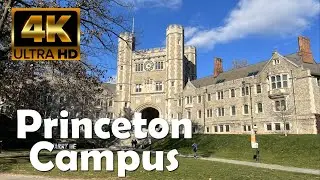 Princeton University | 4K Campus Walking Tour