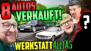 DIESE Autos VERLASSEN uns! - Werkstattalltag Halle77 - MARCO nimmt EUCH mit!