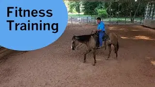 Building top line