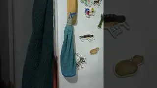 hide and seek
