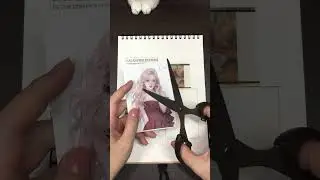 【ASMR】A Taste of Life　Collage 