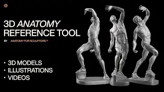 3D Reference Tool by Anatomy For Sculptors