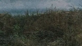 Nortas - Jūra
