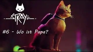 Stray | Part 6  - Wo ist Papa?