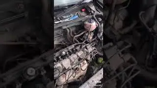 Volkswagen polo 1.4 2001 6n2 starter motor replacement