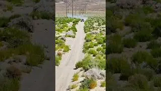 Can-Am Maverick R