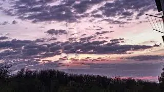 🐹Хомячок - Nice Trap