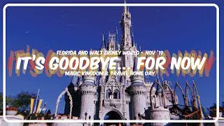 It's Goodbye... For Now (Day 9) | Walt Disney World November 2019 | The Life and Times of Tom