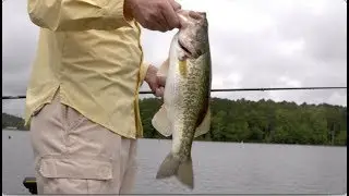 Catch and Release Isn't Always the Right Answer