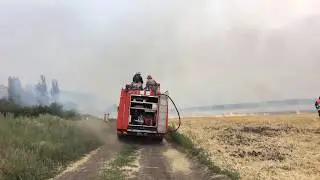 Пожар на поле. Даманский, Кривой рог. 28 июля 2017 г.