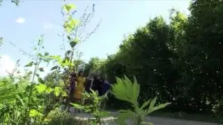 Красиво поют Подружки