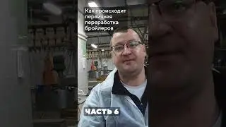 Как происходит первичная переработка бойлеров на фабрике, где установлен ПГ-1000 от TEPLO / Часть 6
