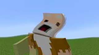 PACHECO CARA FLOJA - La lagartija EARRAPE