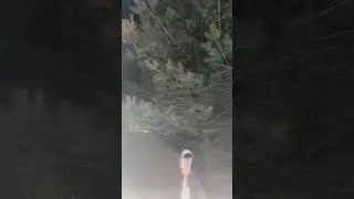 Юля Фин3с