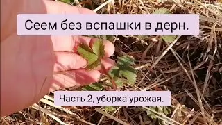 Вводим в оборот поля по нолю.
