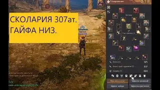 BDO | RUS | СКОЛАРИЯ 307 ат. | ГАЙФА НИЗ. | 23.09.2024
