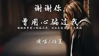 任夏 - 谢谢你,曾用心骗过我『谢谢你曾用心的骗过我，明知是谎言却不忍戳破。』【動態歌詞】