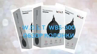 ОБЗОР W.O.L.T. WBS-300 НА РУССКОМ! ОТЛИЧНАЯ КОЛОНКА ЗА 490₽! СУПЕР!