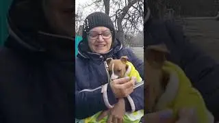 7 ноября 2023 .АФИНУ  ОТРАВИЛИ .АНГЕЛОЧЕК🐕 НА НЕБЕСАХ.