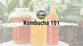 How to Make Kombucha: April 2021 National Virtual Gathering
