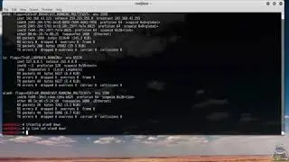 11  MAC address Spoofing with MACChanger