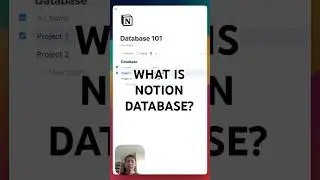 Notion Database Explained (Simplified) 