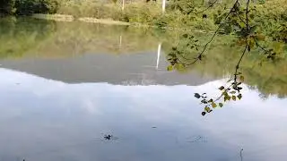 В поисках дороги на водопад в Сочи, ушёл на красивое и тихое горное озеро.