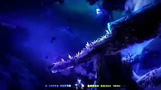 HOW DID I SURVIVE THAT?!?