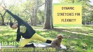 12 MIN DYNAMIC STRETCHES PILATES ROUTINE | deep breathing, mindful flexibility mobility improving