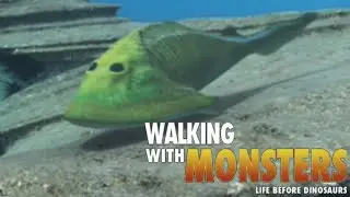 Walking with Monsters [2005] - Cephalaspis Screen Time