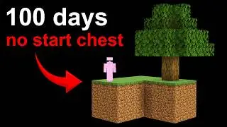 I Spent 100 Days in Skyblock Without The Start Chest in Minecraft