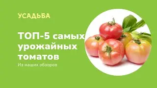 ТОП-5 самых урожайных томатов из наших обзоров |Усадьба-Семена| usadba-semena.ru
