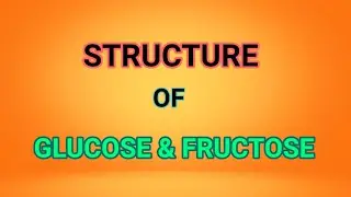Structure Of Glucose & fructose